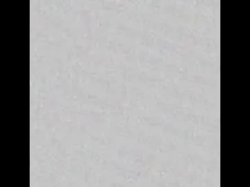 hoaarisa – webcam model profile photo Image 19