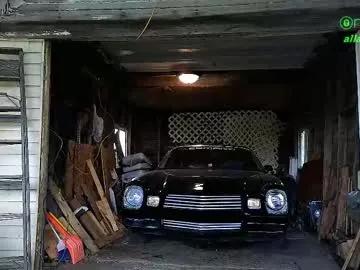 alana15 – webcam model profile photo Image 18