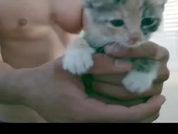 EmiliaCatalina – webcam model profile photo Image 9