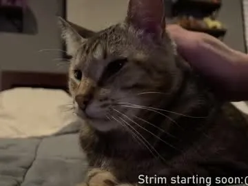 ava_delightt – webcam model profile photo Image 11