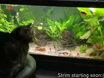 ava_delightt – webcam model profile photo Image 14