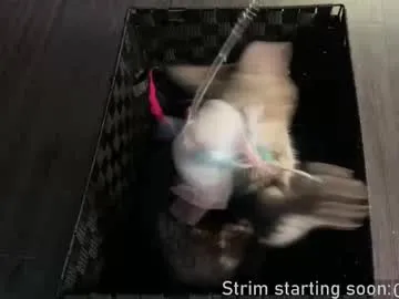 ava_delightt – webcam model profile photo Image 3