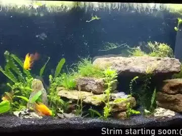 ava_delightt – webcam model profile photo Image 5