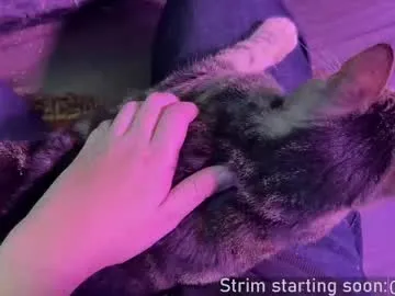 ava_delightt – webcam model profile photo Image 9