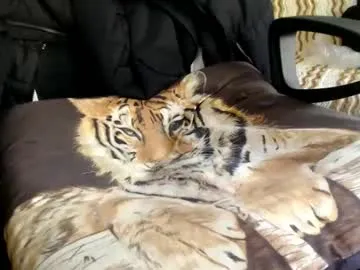 dazzle68 – webcam model profile photo