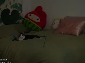 CherrylHolme – webcam model profile photo Image 10