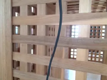 MerlyG profile photo Image 6