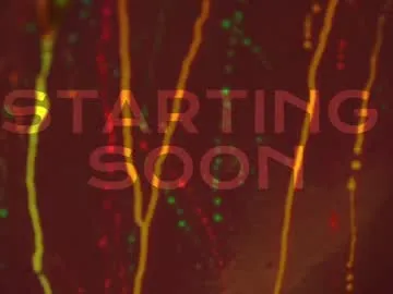 LessiaMia – webcam model profile photo Image 15