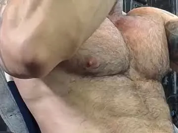 shaarebaare profile photo Image 17