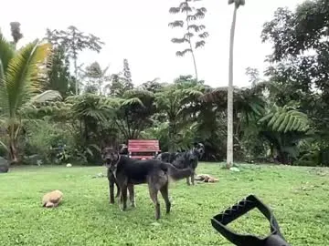 Miss__Malaika – webcam model profile photo Image 14