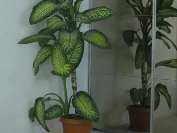 paola_rodriguez – webcam model profile photo Image 2