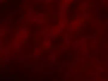 V-Hot-Sweti – webcam model profile photo Image 15