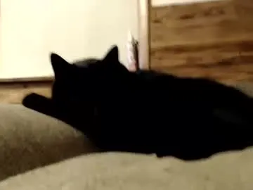 Anita-vega profile photo Image 17