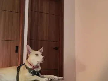 Teri_lella – webcam model profile photo Image 14