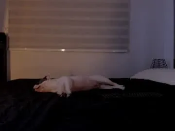 Bad_Girl_Sakura – webcam model profile photo Image 14