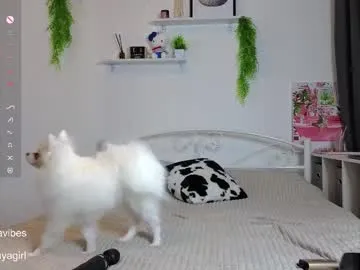 Lovebirdss – webcam model profile photo Image 17