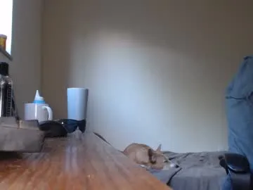 SophiiaStarr – webcam model profile photo Image 6