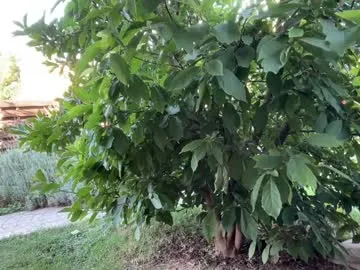 DestinyTurner profile photo Image 11