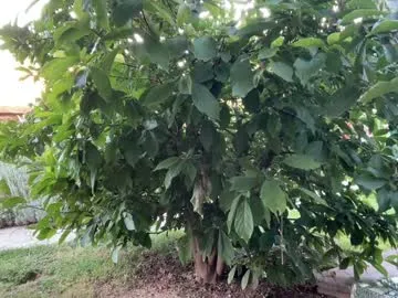 DestinyTurner profile photo Image 13