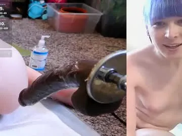 splendid_dolls – webcam model profile photo Image 2