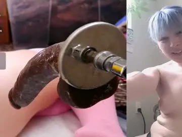 splendid_dolls – webcam model profile photo Image 8