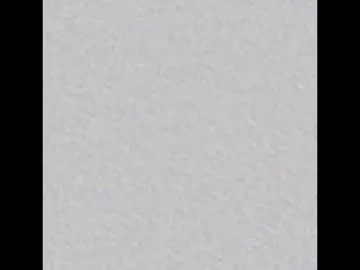 hoaarisa – webcam model profile photo Image 13