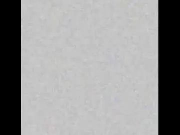 Arisha- – webcam model profile photo Image 8