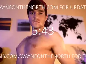 LT-333 – webcam model profile photo Image 13