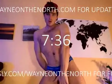 LT-333 – webcam model profile photo Image 15