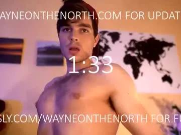 LT-333 – webcam model profile photo Image 16