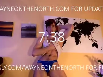 LT-333 – webcam model profile photo Image 18