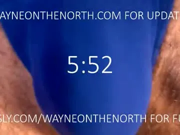 LT-333 – webcam model profile photo Image 5