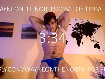 LT-333 – webcam model profile photo Image 9