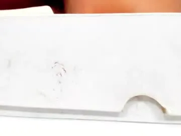 Bold-Cat profile photo Image 10