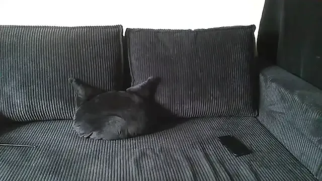 Sofia3393 – webcam model profile photo Image 8