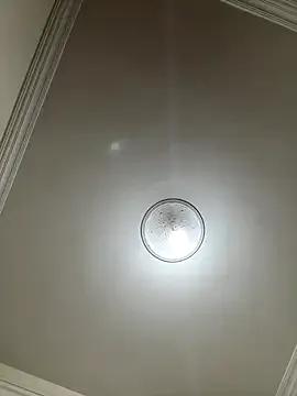 Doctoor-Maya – webcam model profile photo Image 19