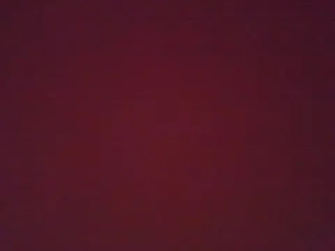 Wkatte – webcam model profile photo Image 3