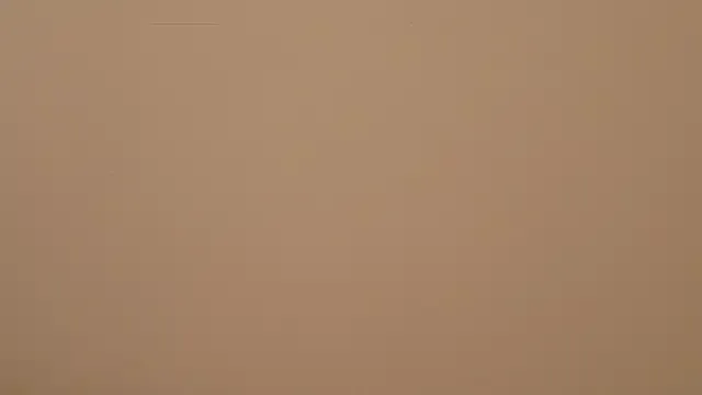 mis_eva – webcam model profile photo Image 12