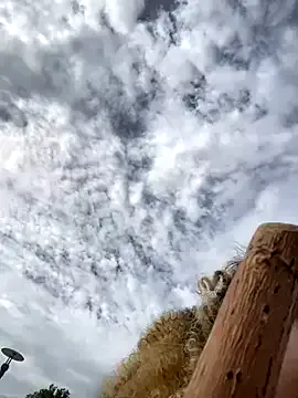 winter11 – webcam model profile photo Image 14