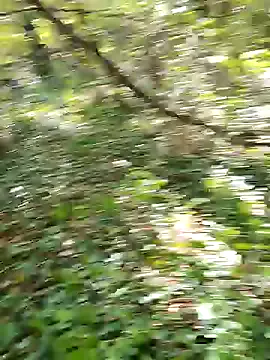 alissa_wxw – webcam model profile photo Image 16