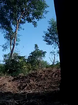 Younger_Couples – webcam model profile photo Image 13