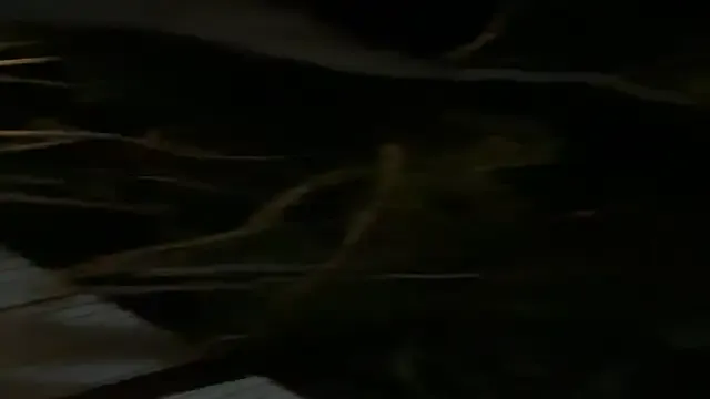 202509yoyo – webcam model profile photo Image 17