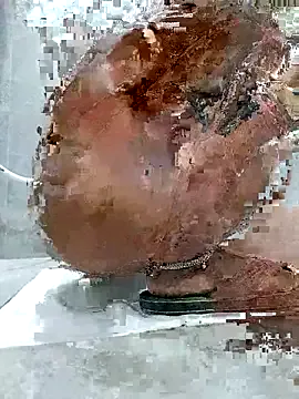 nide_xiaogou – webcam model profile photo Image 17