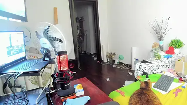 molly_qu – webcam model profile photo Image 18