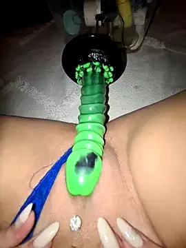 splendid_dolls – webcam model profile photo Image 10