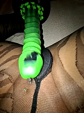 splendid_dolls – webcam model profile photo Image 9