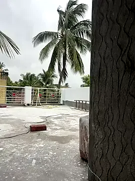 ava_delightt – webcam model profile photo Image 5