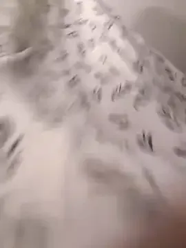 Humsafar-HDX-13 – webcam model profile photo Image 16