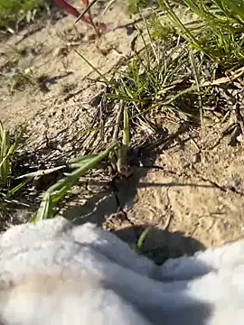 eva_cuper – webcam model profile photo Image 3