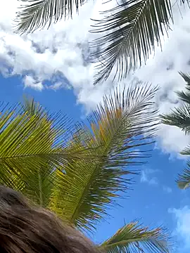 shaarebaare profile photo Image 7